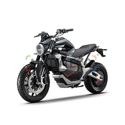 Электромотоцикл Velocifero (Велоциферо) RACE-X 7000W серый