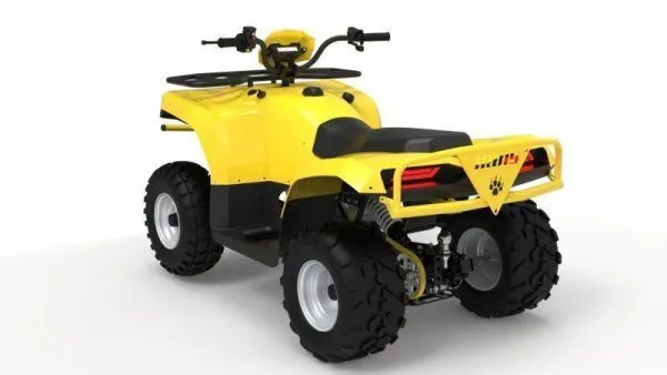 Квадроцикл IRBIS (Ирбис) ATV 250 LUX 2024 зелёный с ПСМ | Мототека