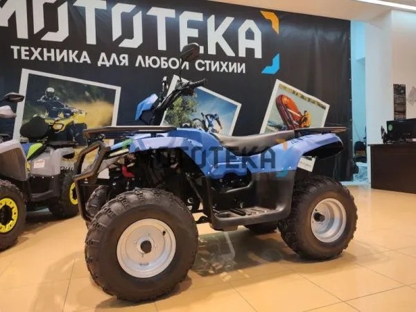 Квадроцикл IRBIS (Ирбис) ATV 250 2024 синий с ПСМ | Мототека