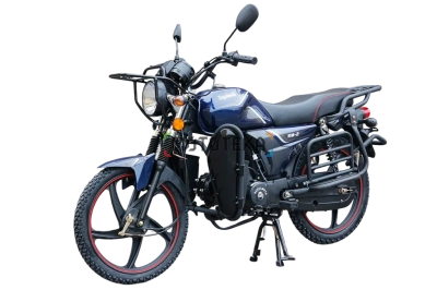 Мопед Regulmoto (Регулмото) Alpha (RM - 2) синий без кофра