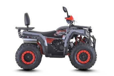 Квадроцикл FXMOTO (ФХмото) WASP 200 серый (машинокомплект)